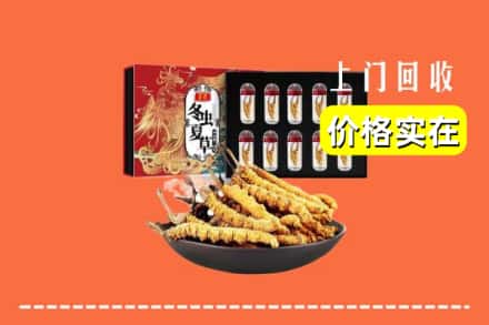 雄县回收冬虫夏草